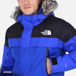 The north face