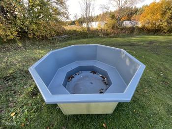 Soodushinnaga kümblustünni sisud