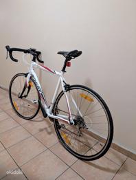 Maanteeratast Schwinn Fastback