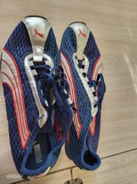 Jooksukingad. (Jookseb)