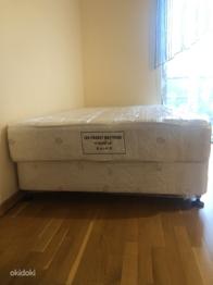 Voodi ilma peatsita, diivanvoodi