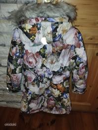 Molo talvejope nr 164 uueväärne